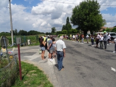 TDF14.JPG