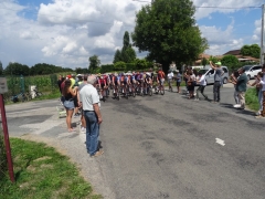 TDF15.JPG