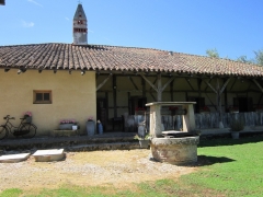 V17.JPG