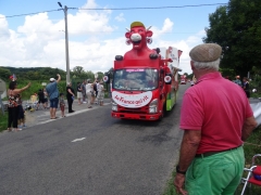 TDF13.JPG
