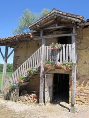 V16.JPG