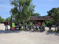 SV21.JPG